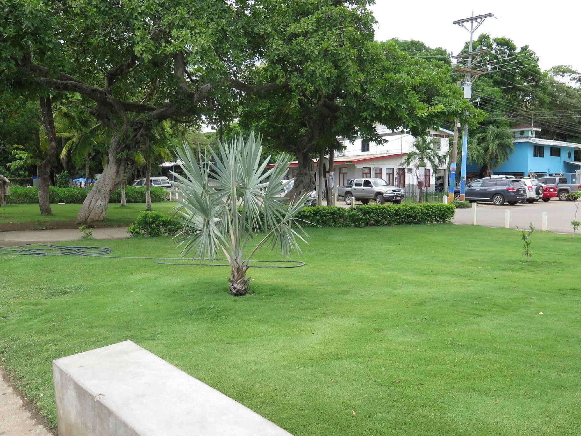Playas del Coco Hotel Savannah מראה חיצוני תמונה